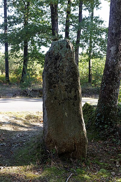 File:Menhir Pierre Levée Chéméré 09.jpg