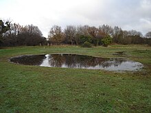 Small man-made pond at Mile Cross Marsh Mile Cross Marsh.jpg