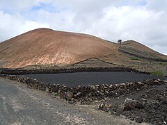 Montaña del Cartijo