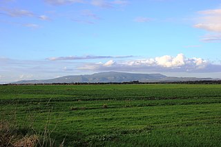 <span class="mw-page-title-main">Monte Arci</span> Isolated massif in Sardinia, Italy