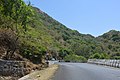 Mount Abu by Photographer Mustafa Khargonewala alias Camaal Mustafa Sikander aka Lens Naayak 019.jpg