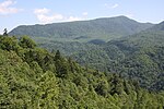 Thumbnail for Hokkaidō montane conifer forests