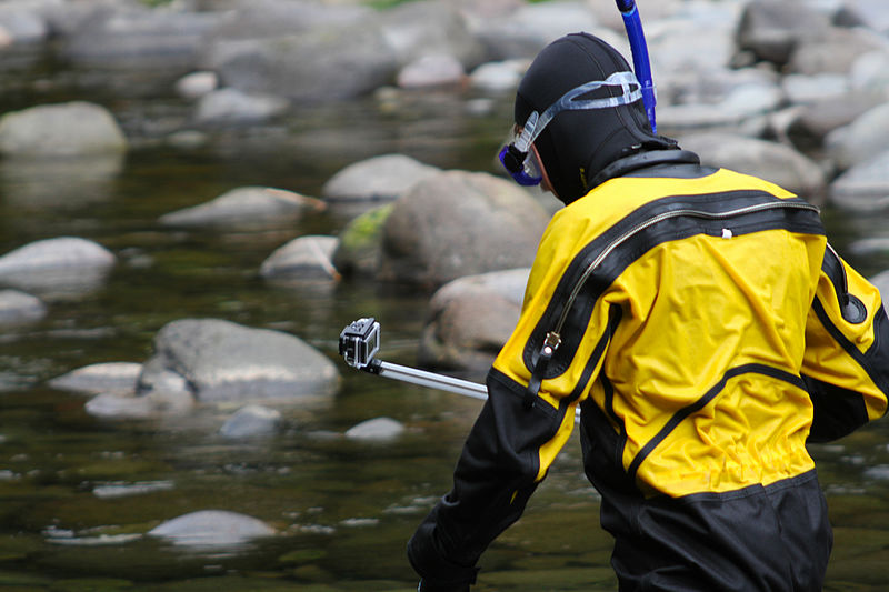 File:My Public Lands Roadtrip- Counting Fish in the Salmon River in Oregon (19156360312).jpg