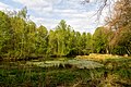 Münster, Wolbeck, Wolbecker Tiergarten, Naturwaldzelle -Teppes Viertel- -- 2014 -- 7085.jpg