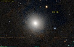 NGC 1162 PanS.jpg