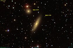 NGC 1175 SDSS.jpg