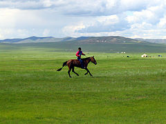 मंगोलियाई मैदान