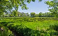 Wiesen nature reserve on Max Clemens Canal 10.jpg