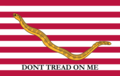 США (1975—1976)