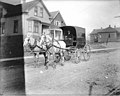 New York Meat Market horse-drawn wagon with driver on residential street, Seattle, Washington, ca 1915 (SEATTLE 2801).jpg