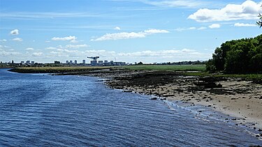 View up the Clyde from Newshot Island. Newshot Island from the nature reserve, River Clyde.jpg