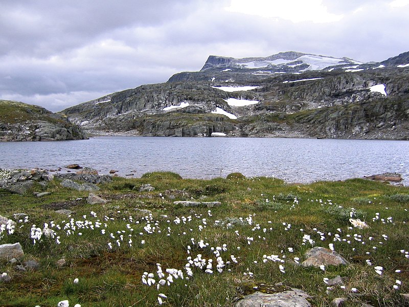 File:Norway Aurland Laerdal2.jpg