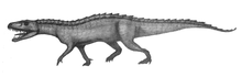 File:Nundasuchus_Songeaensis.png