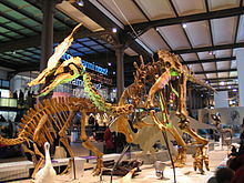 Olorotitan 28.12.2007 14-52-33.jpg