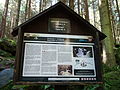 Čeština: Informační tabule u vodopádů sv. Wolfganga na NS Opatské stezce I ve Vyšším Brodě v okrese Český Krumlov. English: Information board at the Waterfalls of Saint Wolfgang on the educational trail Opatská stezka I (Abbot Trail I) near Vyšší Brod, Český Krumlov District, Czech Republic.