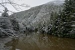 Thumbnail for McNeil River (Skeena River tributary)