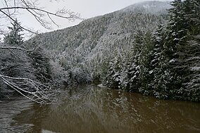 Pemandangan McNeil Sungai di Gamble Creek Ecological Reserve