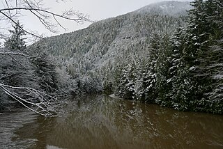 <span class="mw-page-title-main">McNeil River (Skeena River tributary)</span> River in British Columbia, Canada