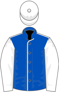 Solow (horse) British-bred Thoroughbred racehorse