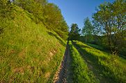 Čeština: Přírodní památka Nad Koupalištěm, okres Žďár nad Sázavou