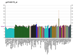 PBB GE OR13F1 gnf1h05175 at fs.png