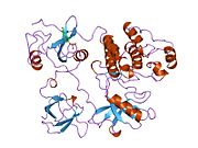 1fmk​: Kristalna struktura humane tirozinske proteinske kinaze -{C-SRC}-