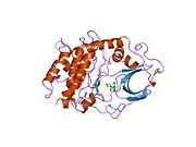 PDB 1ydr EBI.jpg