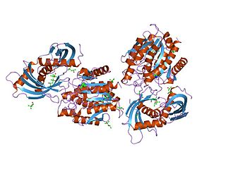 <span class="mw-page-title-main">Latexin family</span> Family of proteins