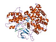 2euf: ساختار CDK6-Vcyclin انسانی در کمپلکس با مهارکننده PD0332991