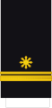 Junior Grade Lieutenant