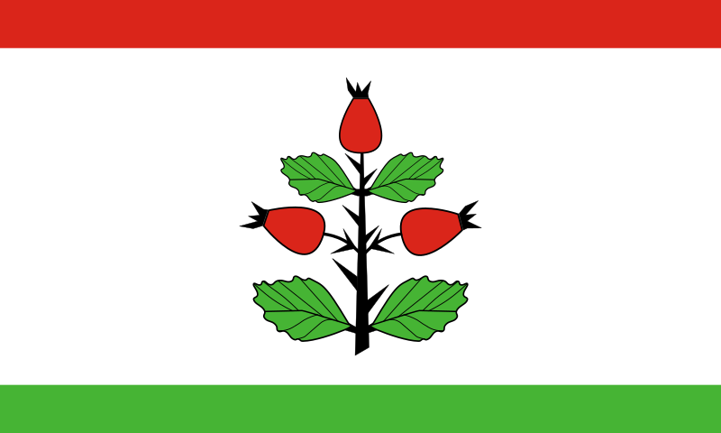 File:POL gmina Rzgów (powiat koniński) flag.svg