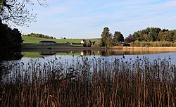 Een kleine scène door wat riet