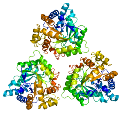 Protein AKR1C4 PDB 2fvl.png