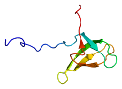 Ақуыз LBR PDB 2dig.png