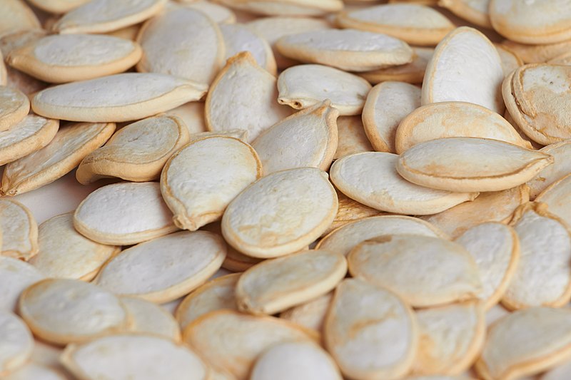 File:Pumpkin seed. img 005.jpg