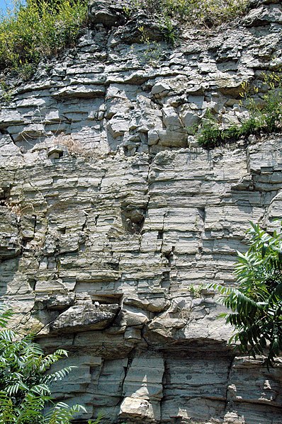 File:Put-in-Bay Dolomite over Tymochtee Dolomite (Upper Silurian; South Bass Island, Lake Erie, Ohio, USA) 5 (48628001011).jpg