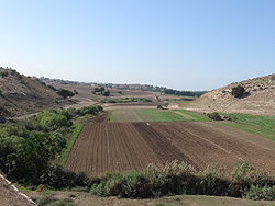 נחל ציפורי סמוך למוצאו אל עמק זבולון. באופק נראים הכרמל ובתיה של חיפה