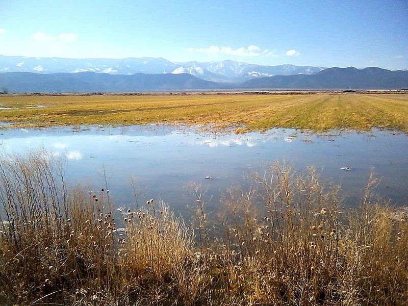 File:Rain Soaked Farm Field, Circleville, UT.jpg