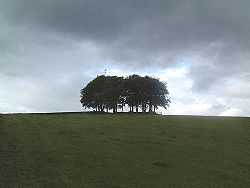 An ancient ráth at the southern edge of Castledawson