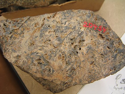 An unpolished hand sample of the Lower Devonian Rhynie Chert from Scotland