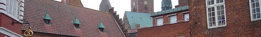 Ribe page banner