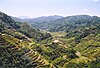 Rice Terraces Banaue.jpg