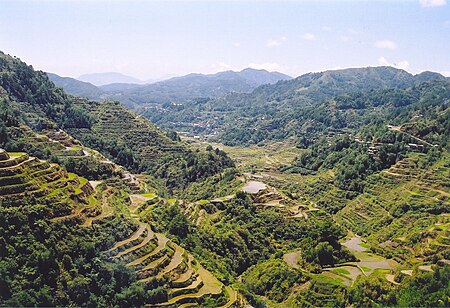 Tập tin:Rice Terraces Banaue.jpg