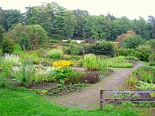 Vue en léger surplomb de plantes buissonnantes dans un jardin avec des arbres en fond.