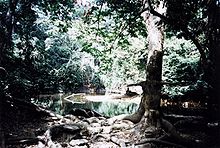 Osun-Osogbo Sacred Grove, Nigeria Rio Osun.jpg
