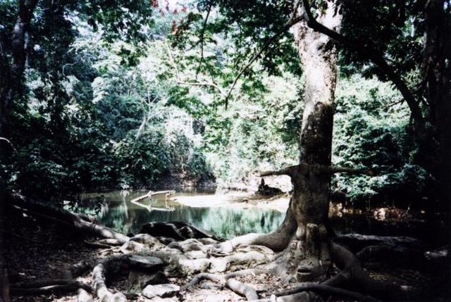 Osun-Osogbo Sacred Grove, Nigeria