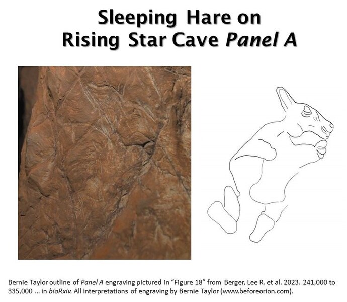 File:Rising Star Cave "Cave of Bones" Panel A Resting Hare, South Africa.jpg