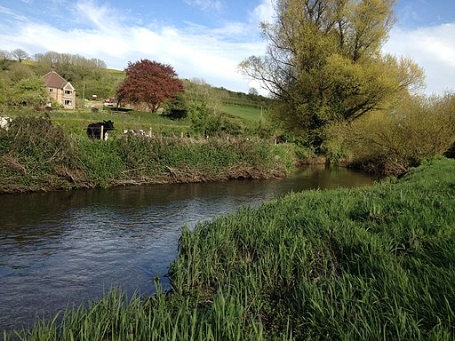 River Frome near Lower Frome Vauchurch - geograph.org.uk - 2954997