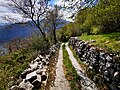 The route in the direction towards Narro, descends for a few meters along the road which descends toward Mezzegra