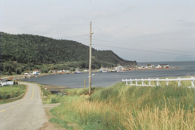 File:Road to Lourdes NFLD.JPG